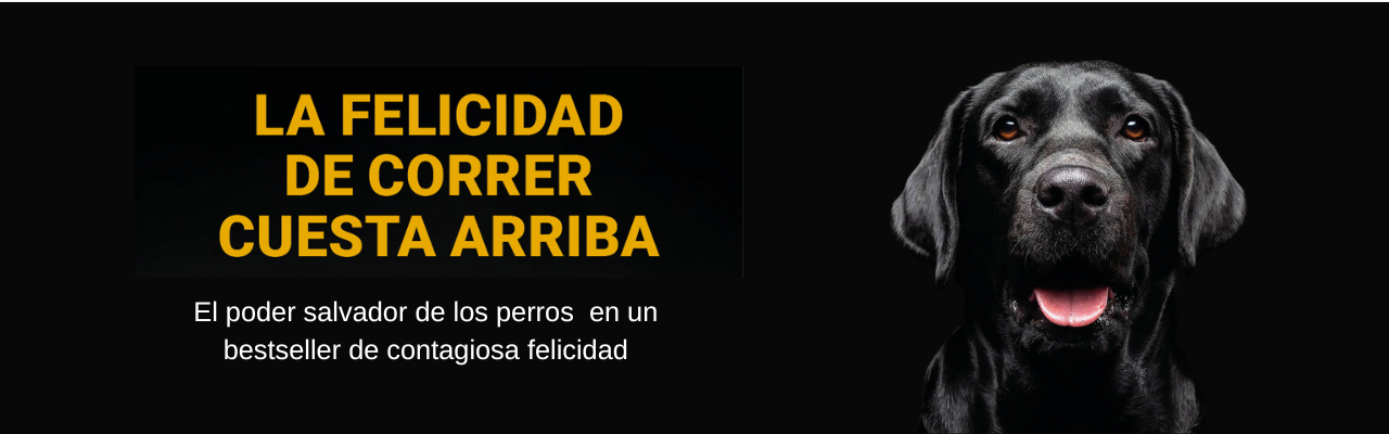 LA FELICIDAD DE CORRER CUESTA ARRIBA
